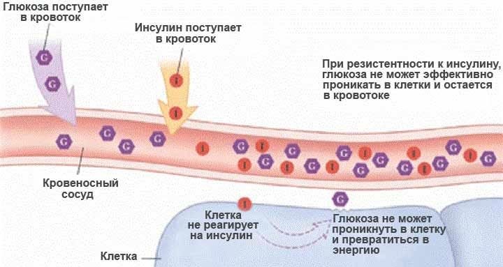 Глюкон средство от диабета 147 руб. | Обзор